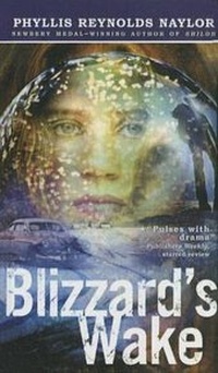Abbildung von: Blizzard's Wake - Perfection Learning