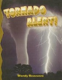 Enlarge image Cover: Tornado Alert! - Perfection Learning
