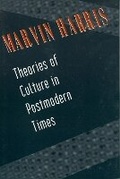 Cover: Theories of Culture in Postmodern Times - AltaMira Press