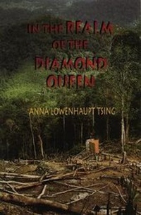 Enlarge image Cover: In the Realm of the Diamond Queen - Princeton University Press