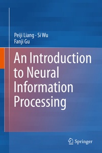 Abbildung von: An Introduction to Neural Information Processing - Springer