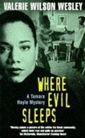 Cover: Where Evil Sleeps - Headline Book Publishing