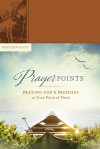 Enlarge image Cover: PrayerPoints - Tyndale Momentum