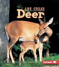 Enlarge image Cover: Deer - Lerner Publishing Group