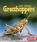 Cover: Grasshoppers - Lerner Publishing Group