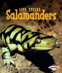 Enlarge image Cover: Salamanders - Lerner Publishing Group