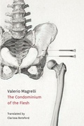 Cover: The condominium of the flesh - Parlor Press