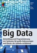 Cover: Big Data - MITP