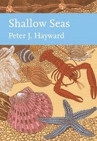 Enlarge image Cover: Shallow Seas - William Collins