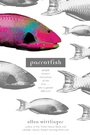 Cover: Parrotfish - Simon & Schuster Books for Young Readers