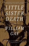 Cover: Little Sister Death - Dzanc Books