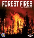 Cover: Forest Fires - Lerner Books
