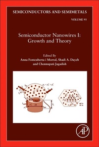 Abbildung von: Semiconductor Nanowires I: Growth and Theory: Volume 93 - Academic Press