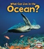 Cover: What Can Live in the Ocean? - Lerner Publications Co ,U.S.