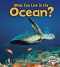 Cover: What Can Live in the Ocean? - Lerner Publications Co ,U.S.