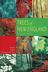 Enlarge image Cover: Trees of New England - Falcon Guides