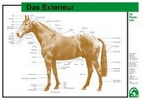 Abbildung von: Das Exterieur - FN Verlag