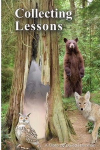 Enlarge image Cover: Collecting Lessons - Wellness Press
