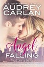 Cover: Angel Falling: Volume 1 - Waterhouse Press