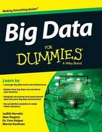 Enlarge image Cover: Big Data for Dummies - Wiley