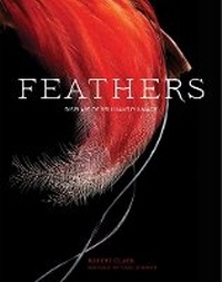 Abbildung von: Feathers - Chronicle Books