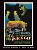 Cover: The Black Cat (hardback) - BEARMANOR MEDIA