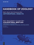 Cover: Coleoptera, Beetles. Morphology and Systematics - De Gruyter