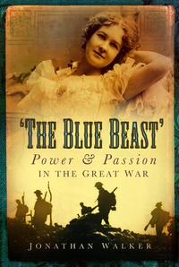 Abbildung von: The Blue Beast - The History Press Ltd
