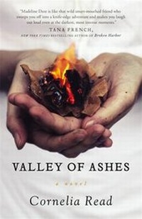 Enlarge image Cover: Valley of Ashes - Grand Central Publishing