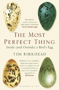 Enlarge image Cover: The Most Perfect Thing - Bloomsbury Publishing PLC