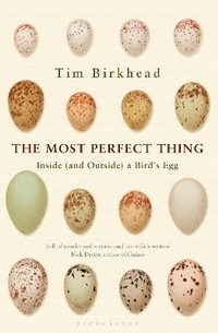 Enlarge image Cover: The Most Perfect Thing - Bloomsbury Publishing PLC