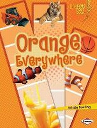 Enlarge image Cover: Orange Everywhere - Lerner Publications (Tm)