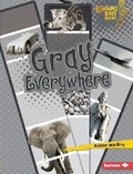 Cover: Gray Everywhere - Lerner Publications (Tm)