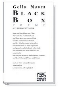 Enlarge image Cover: Black Box - Wieser Verlag