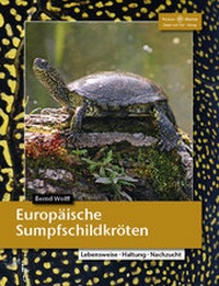 Abbildung von: Europäische Sumpfschildkröten - Natur und Tier