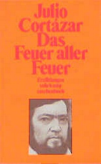 Abbildung von: Das Feuer aller Feuer - Suhrkamp
