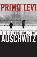 Cover: The Black Hole of Auschwitz - Polity Press