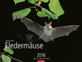 Cover: Flederm&auml;use 2016 - Weingarten