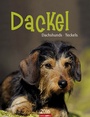 Cover: Dackel 2016 - Weingarten