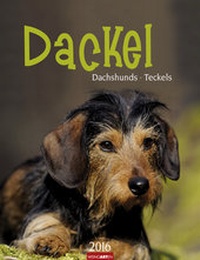 Enlarge image Cover: Dackel 2016 - Weingarten