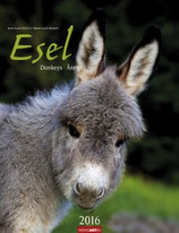 Abbildung von: Esel 2016 - Weingarten