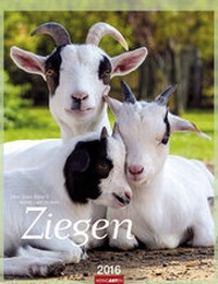 Abbildung von: Ziegen 2016 - Weingarten