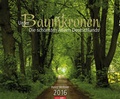 Cover: Unter Baumkronen - Die sch&ouml;nsten Alleen Deutschlands 2016 - Weingarten