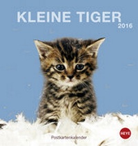 Bild vergrößern Bild: Katzen Postkartenkalender 2016 - Heye
