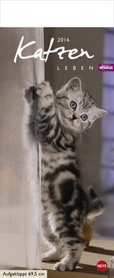 Bild vergrößern Bild: Whiskas Katzenleben 2016 - Heye