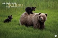 Cover: Abenteuer Wildnis Edition 2016 - Heye