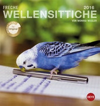Bild vergrößern Bild: Freche Wellensittiche Postkartenkalender 2016 - Heye