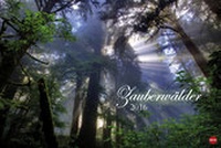 Bild vergrößern Bild: Zauberwälder 2016 - Heye