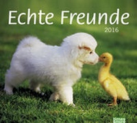 Abbildung von: times&more Echte Freunde Bildkalender 2016 - Heye