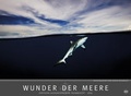 Cover: Edition Humboldt - Wunder der Meere 2016 - Heye